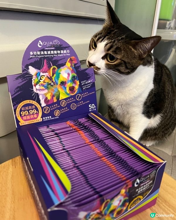 貓奴注意🫵！貓貓係屋企都要做好清潔💦