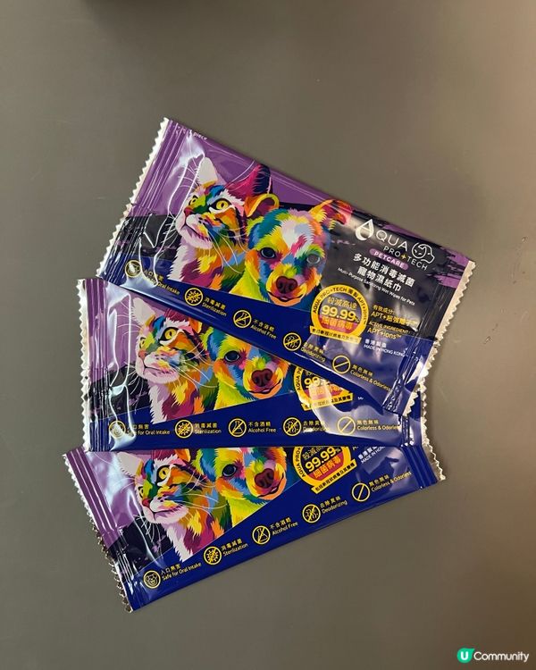 貓奴注意🫵！貓貓係屋企都要做好清潔💦