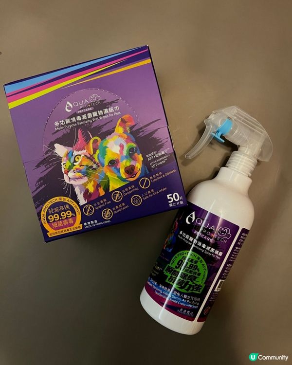 貓奴注意🫵！貓貓係屋企都要做好清潔💦