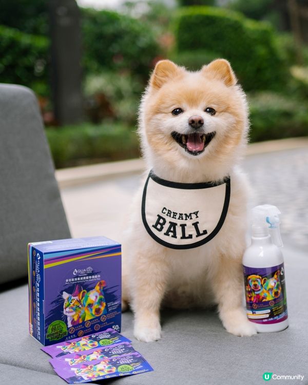 🐶🐱毛孩之家必備神器！除臭殺菌，安全健康！