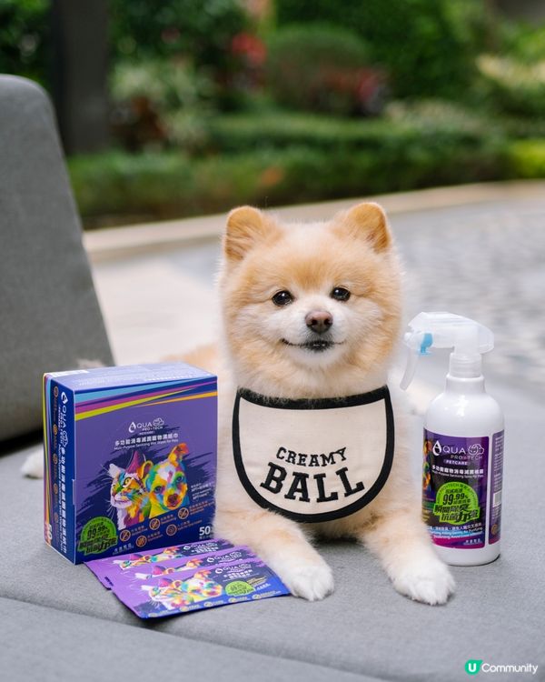 🐶🐱毛孩之家必備神器！除臭殺菌，安全健康！