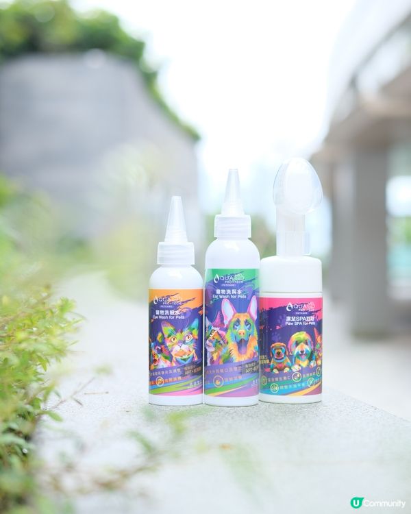 🐶 健康毛孩 做好清潔好緊要