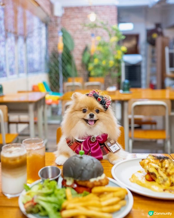 返學打卡🎒  米蘇蘇1年班