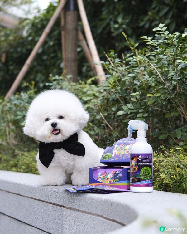 濕濕地天氣 🐶🐱 唔想毛孩臭臭？ 🤢