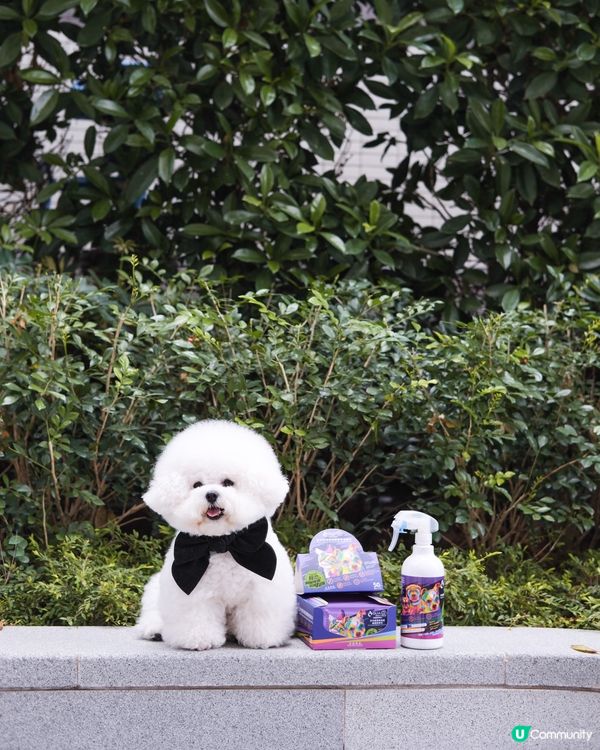 濕濕地天氣 🐶🐱 唔想毛孩臭臭？ 🤢