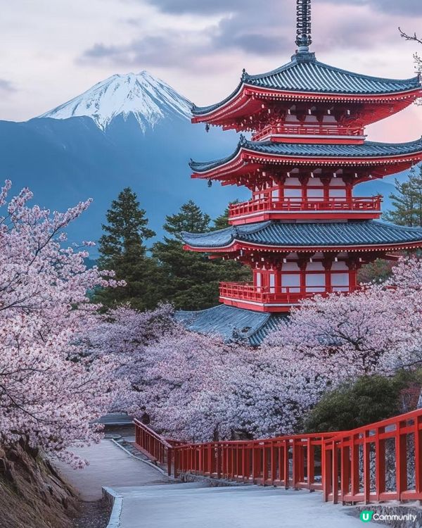 京都哲學之道🌸 漫步櫻花小徑，感受古韻之美