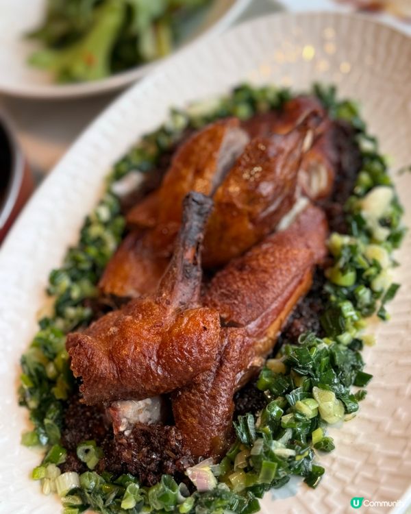 圍方新派浙菜🥢 古箏演奏 🎶