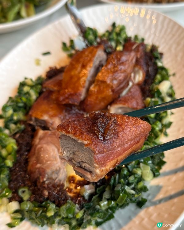 圍方新派浙菜🥢 古箏演奏 🎶