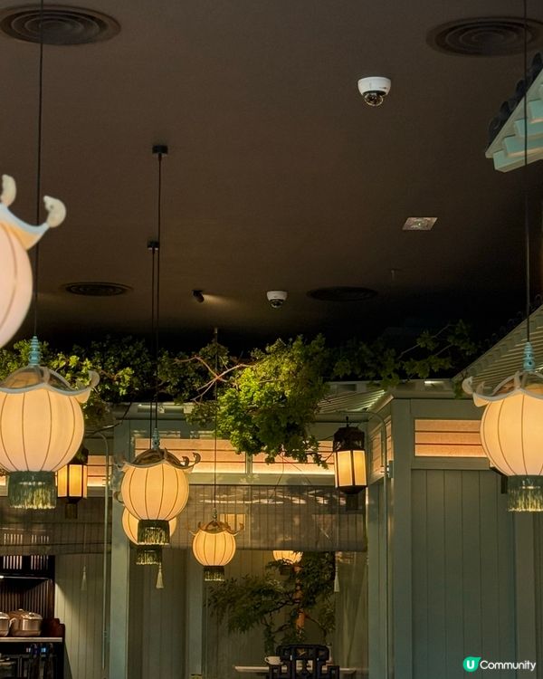 圍方新派浙菜🥢 古箏演奏 🎶