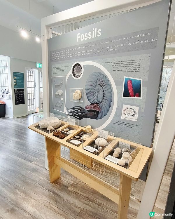 七姊妹懸崖 🪨Seven Sisters Cliffs 