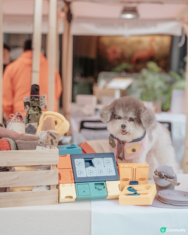 最新人寵活動 • 召喚各位山系愛好者🌟 