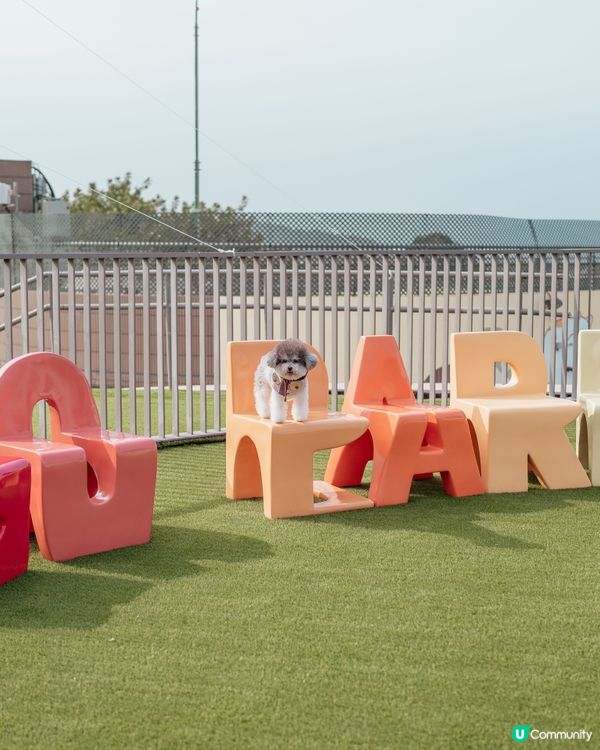 最新人寵活動 • 召喚各位山系愛好者🌟 