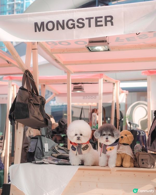 最新人寵活動 • 召喚各位山系愛好者🌟 