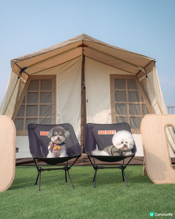 最新人寵活動 • 召喚各位山系愛好者🌟 