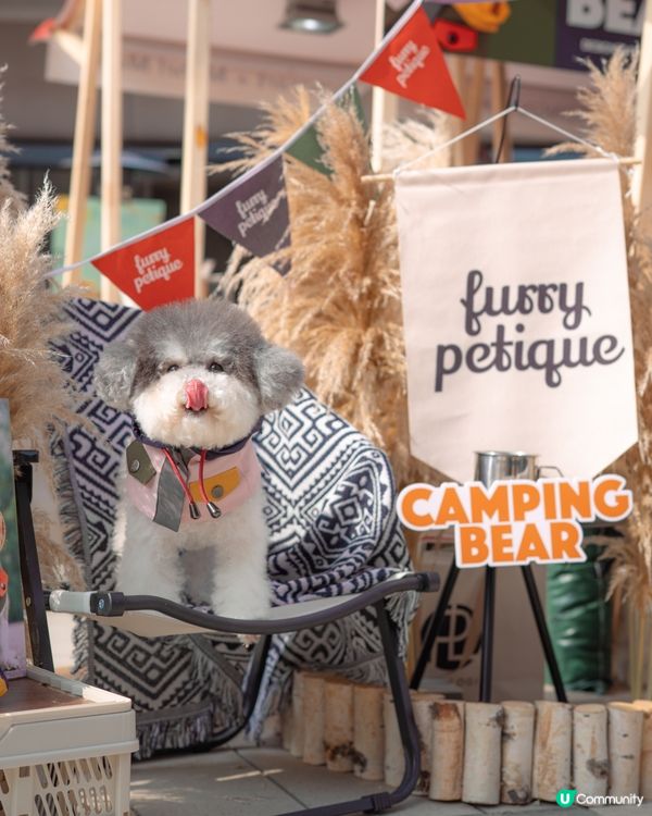 最新人寵活動 • 召喚各位山系愛好者🌟 