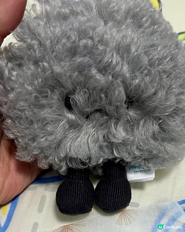## ☁️ Jellycat烏雲真係好可愛！🥰