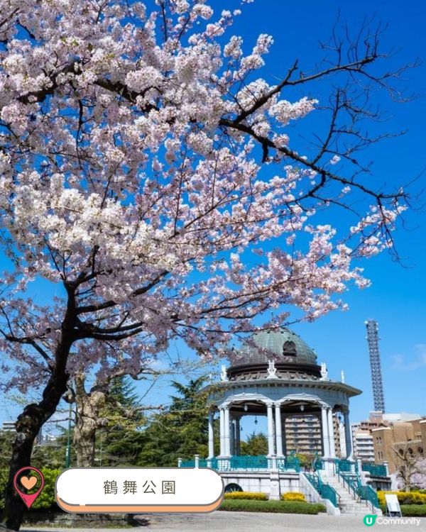 2025中部賞櫻攻略🌸  
準備好被櫻花海淹沒了嗎？