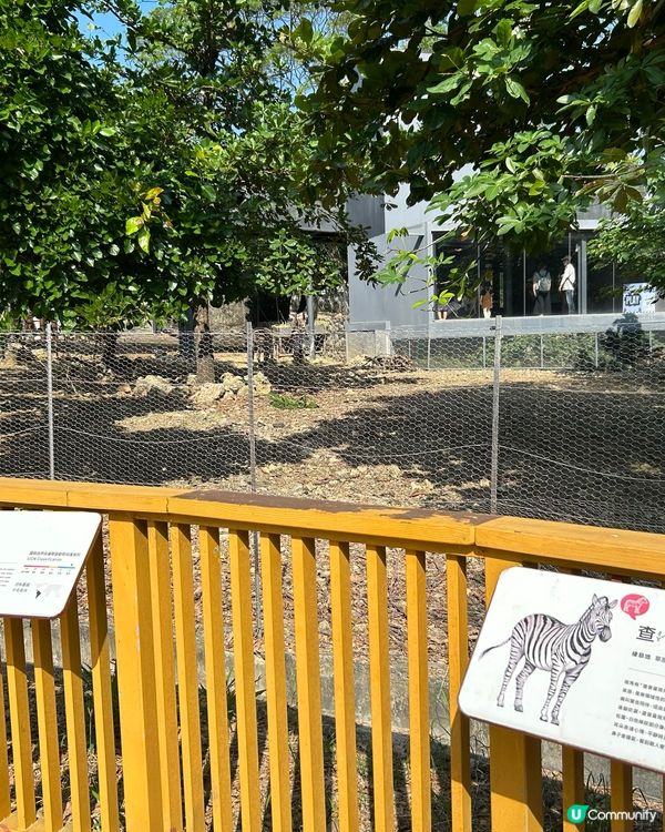 高雄 - 壽山動物園🦨🦡🦃🦤