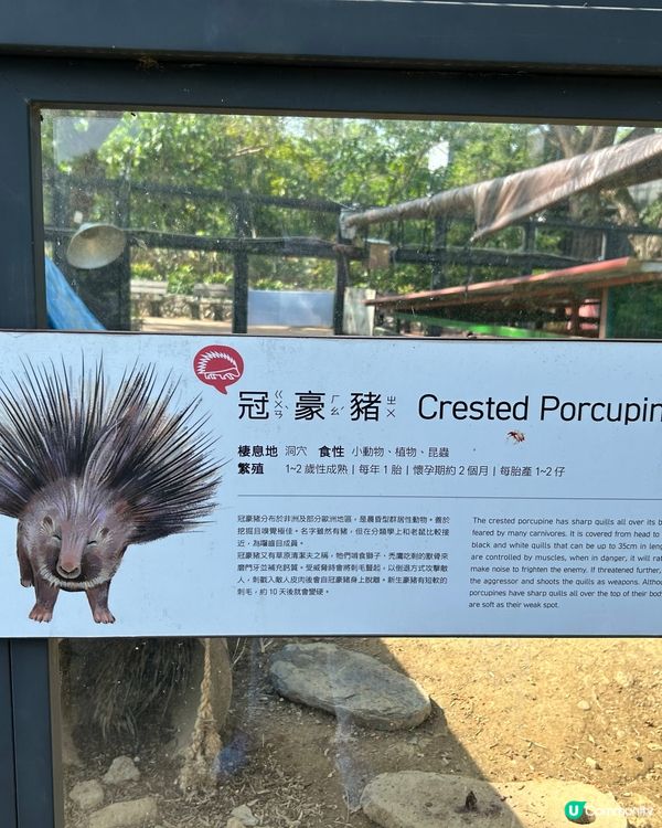 高雄 - 壽山動物園🦨🦡🦃🦤