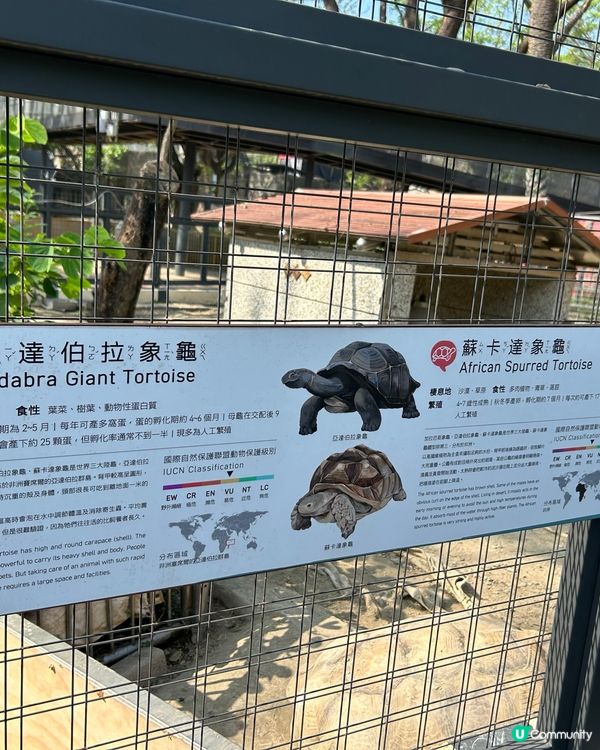 高雄 - 壽山動物園🦨🦡🦃🦤