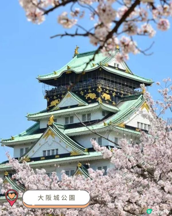 2025關西賞櫻攻略 🌸 必訪人氣景點