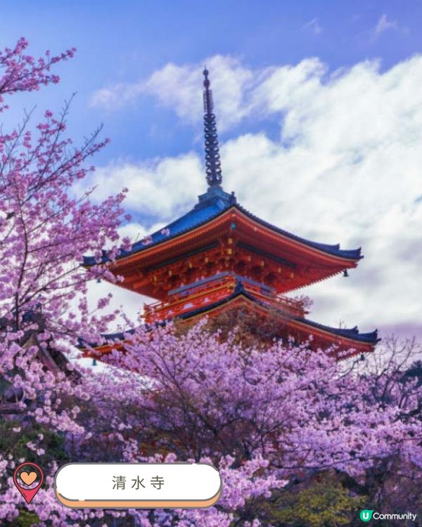 2025關西賞櫻攻略 🌸 必訪人氣景點