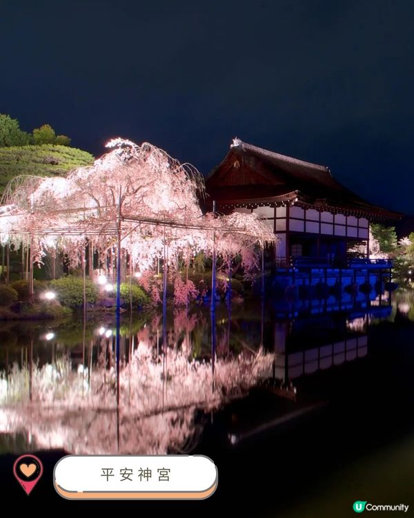 2025關西賞櫻攻略 🌸 必訪人氣景點