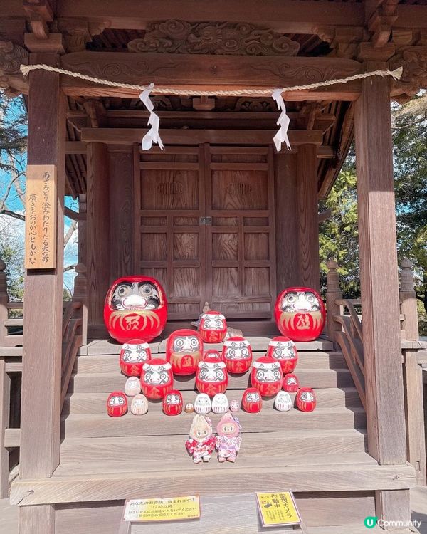 超仙氣紫藤花緣結御守《花纏守》