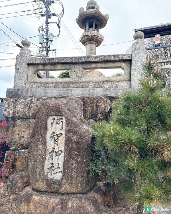 超仙氣紫藤花緣結御守《花纏守》