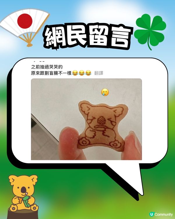 熊仔餅傳說🐨搵到呢款熊仔餅會招好運🍀⁉️日本公司設計原意係...🇯🇵