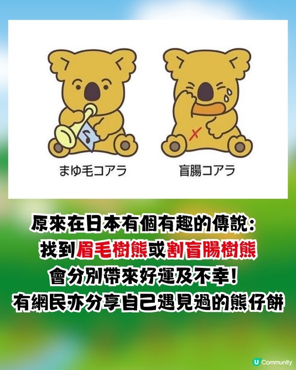 熊仔餅傳說🐨搵到呢款熊仔餅會招好運🍀⁉️日本公司設計原意係...🇯🇵