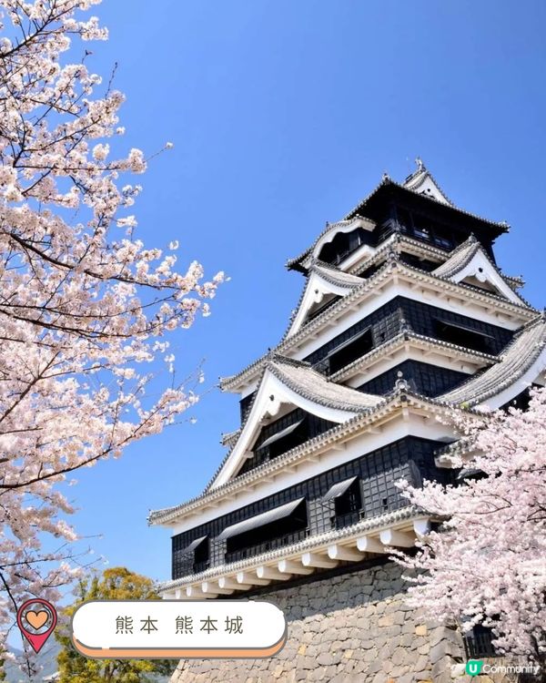 2025九州賞櫻巡禮🌸Top 10 夢幻賞櫻名所絕景公開