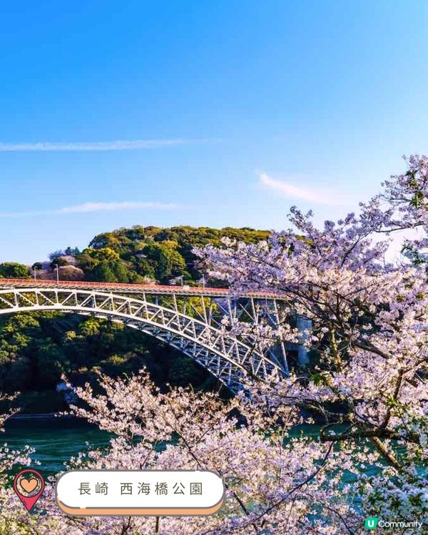 2025九州賞櫻巡禮🌸Top 10 夢幻賞櫻名所絕景公開