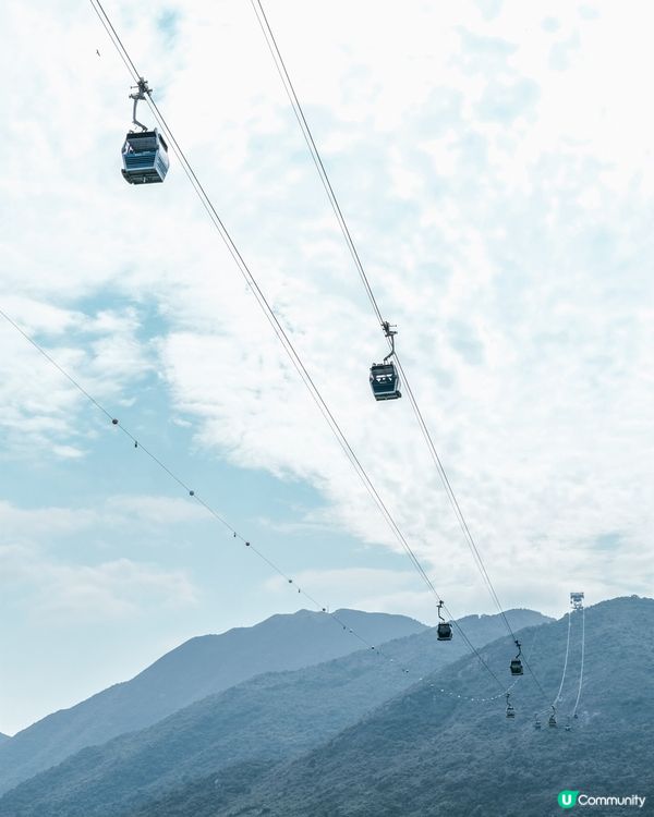 🌸✨櫻花季節來臨！✨🌸