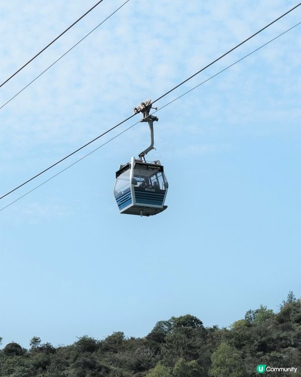 🌸✨櫻花季節來臨！✨🌸