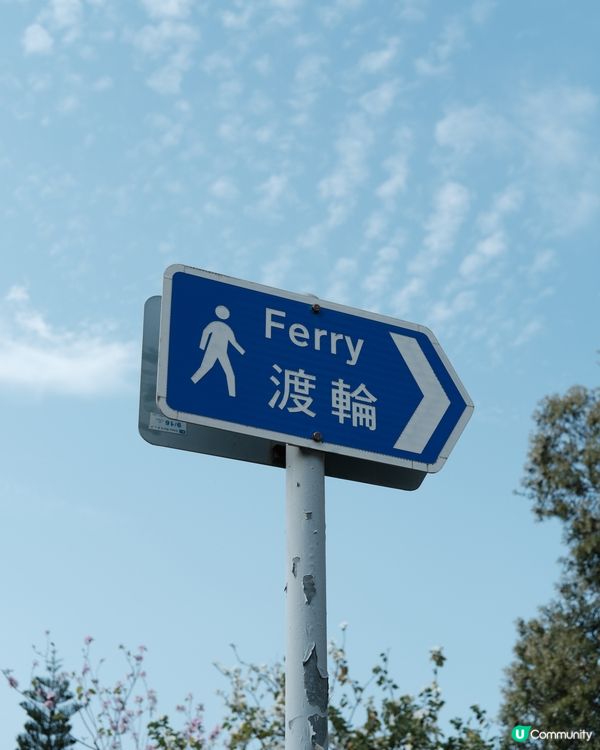 🌸✨櫻花季節來臨！✨🌸