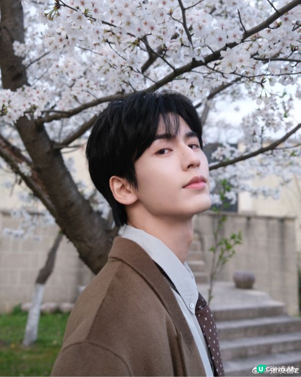 陸劇《愛你》張凌赫演超帥氣中醫！甜寵劇情甜度料超越《難哄》🎉