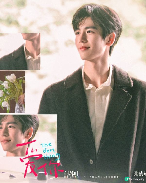 陸劇《愛你》張凌赫演超帥氣中醫！甜寵劇情甜度料超越《難哄》🎉