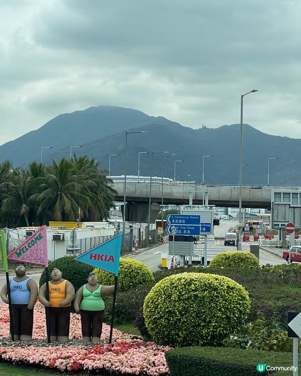 暫停的恐龍🦕展覽