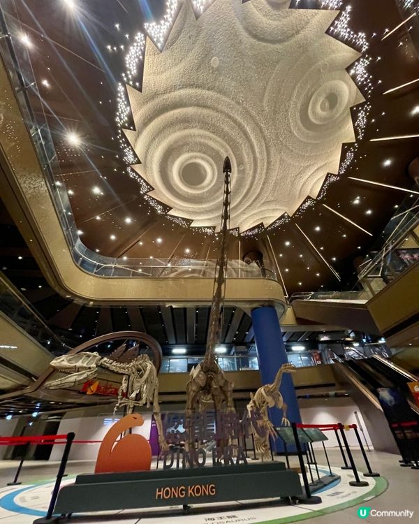 暫停的恐龍🦕展覽