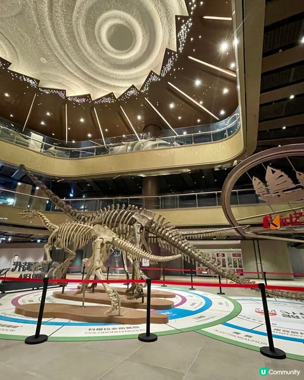 暫停的恐龍🦕展覽