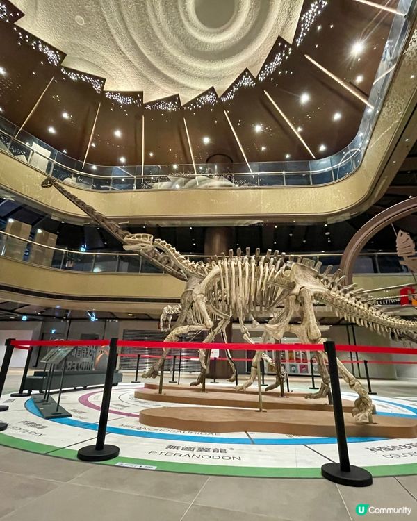 暫停的恐龍🦕展覽