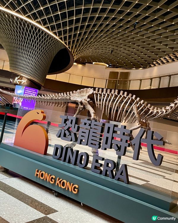 暫停的恐龍🦕展覽