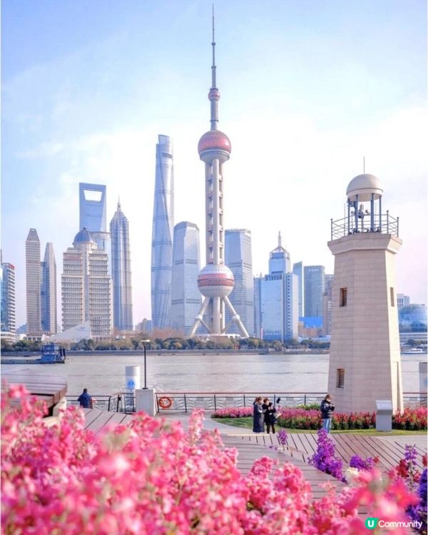 北外灘紫羅蘭花海