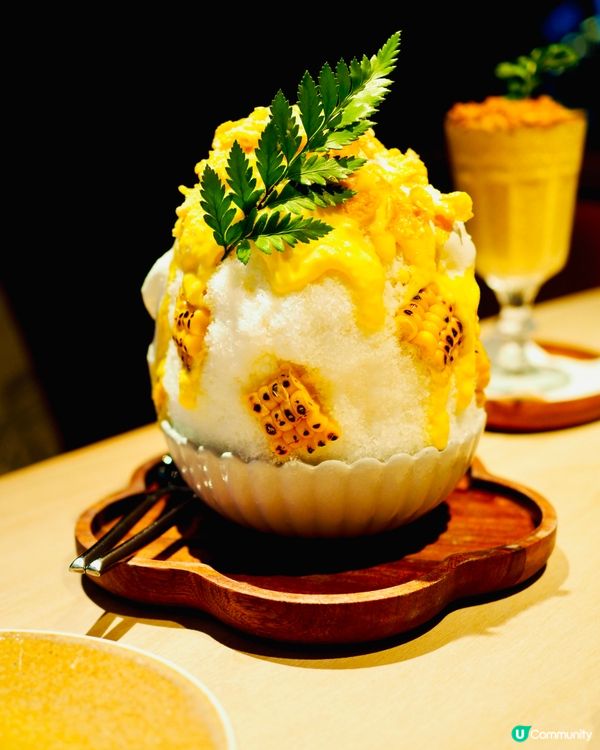 𓂃.𓈒尖沙咀𓎏ෆ.ᐟ韓式花系打卡Café𓈒𓂃.