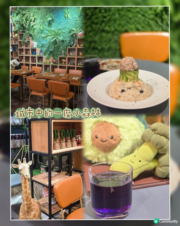 在城市中找到一片小森林