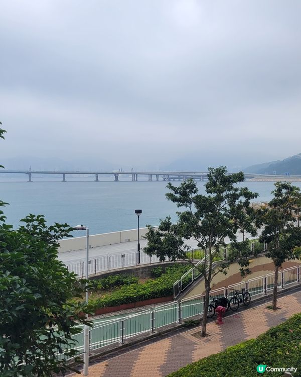 ## 脆卜卜蝦多士，鮮甜彈牙🦐🤤