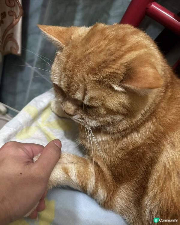 想點