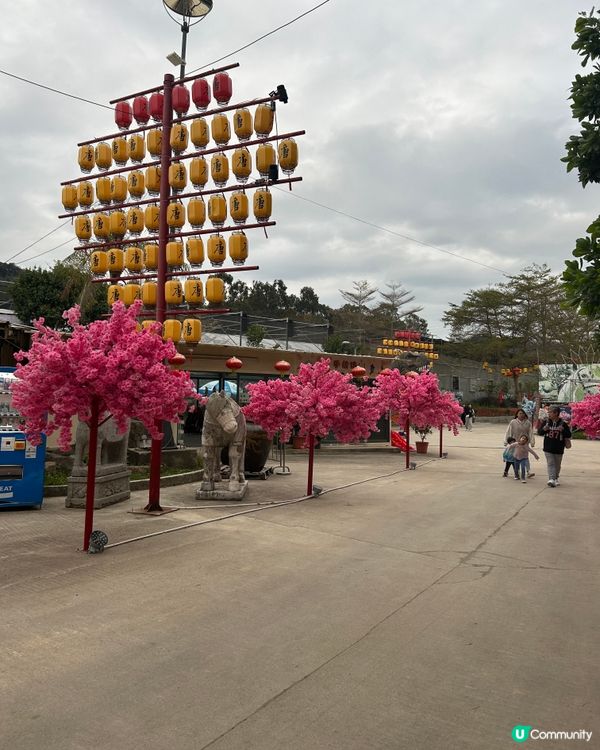 元朗大棠生態園一日遊