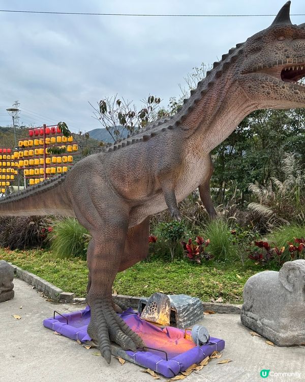 元朗大棠生態園一日遊